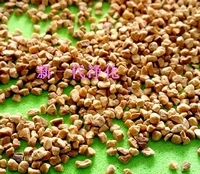 優(yōu)質(zhì)核桃殼,核桃殼(除油),核桃殼顆粒